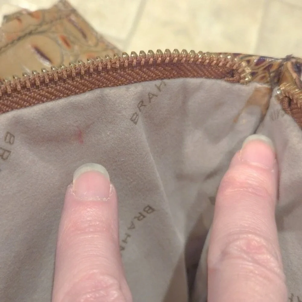 Brahmin dark brown